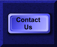 Contact With Us